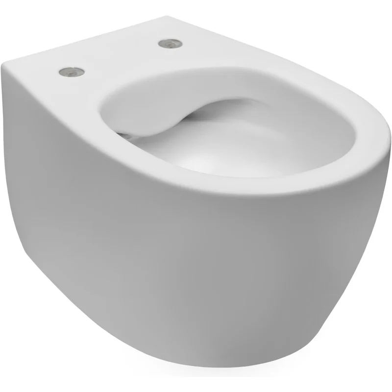 Чаша подвесного унитаза Allen Brau Fantasy 4.11004.21 белый матовый