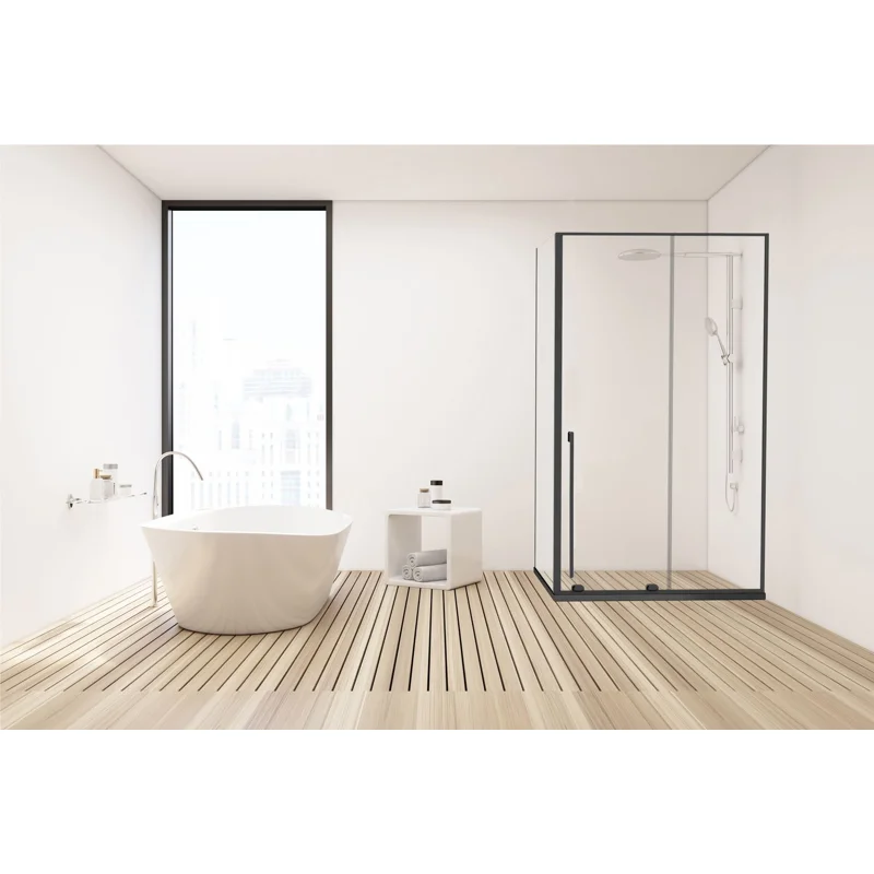 Душевой уголок Allen Brau Fantasy 120x80 3.11006.31 + 3.11012.31 черный матовый