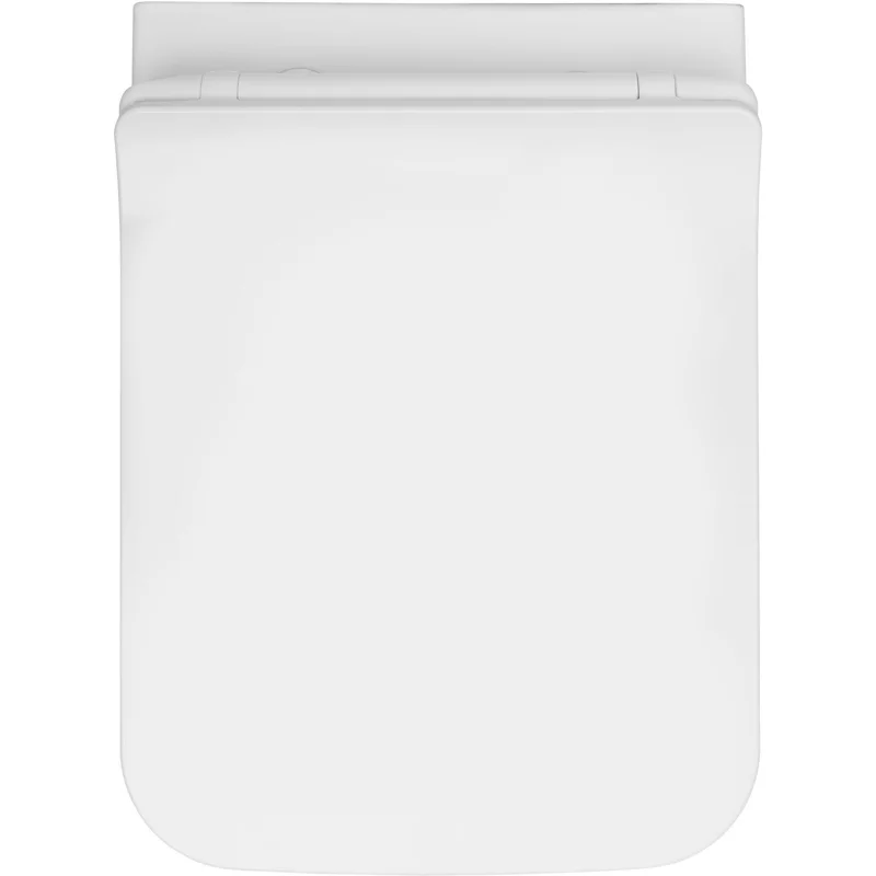 Чаша подвесного унитаза Allen Brau Liberty 4.33009.20 белый