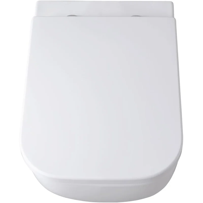 Чаша подвесного унитаза Allen Brau Infinity 4.21004.20 белый глянец