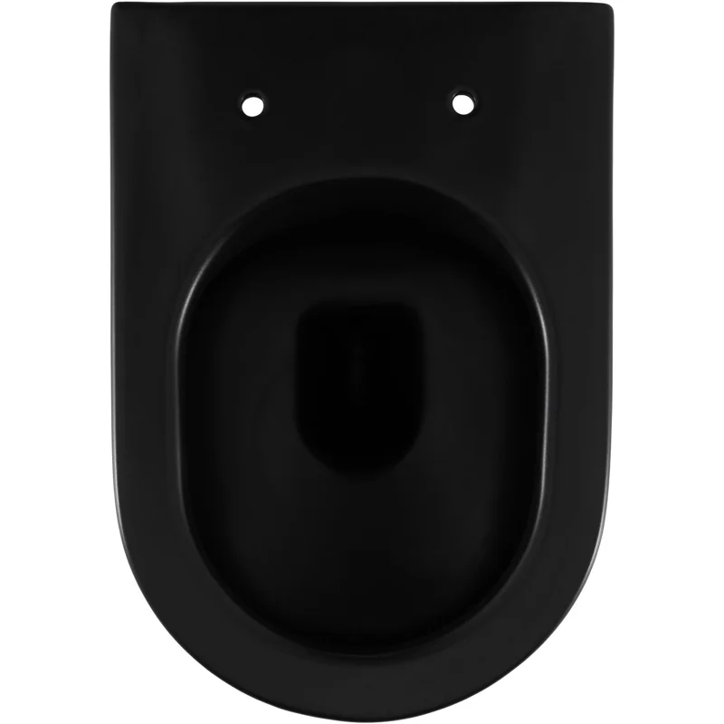 Чаша приставного унитаза Allen Brau Reality 4.32004.31 черный матовый