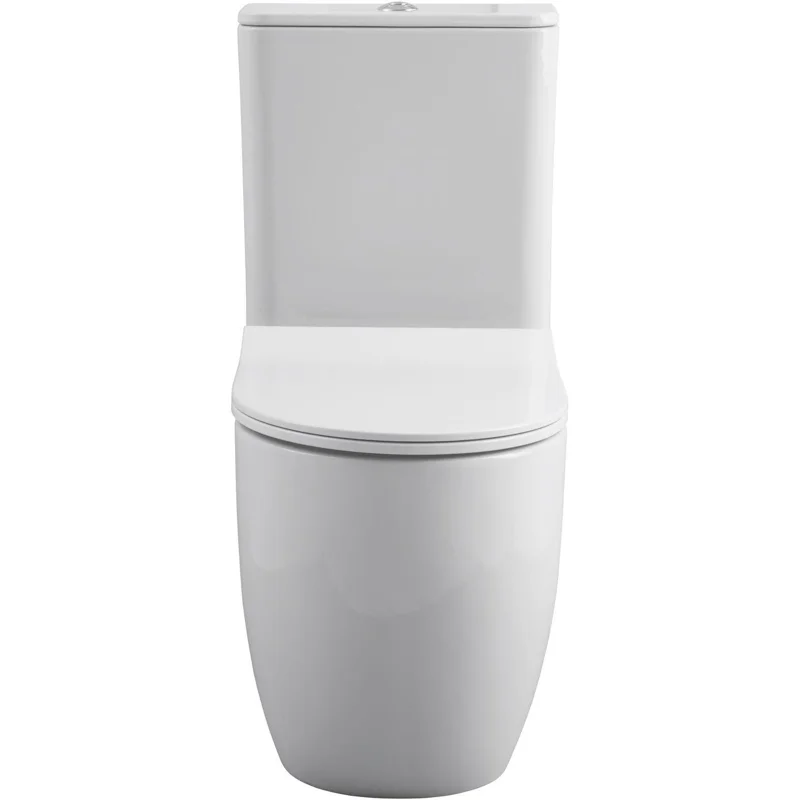 Чаша напольного унитаза Allen Brau Priority 4.31003.20 белый