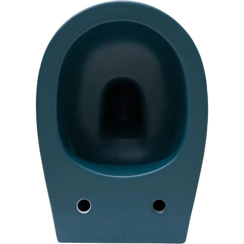 Чаша подвесного унитаза Allen Brau Fantasy 4.11004.PT петроль