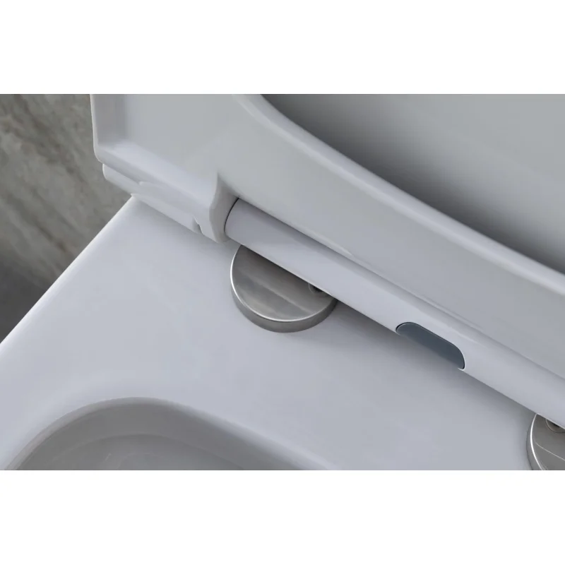 Унитаз с инсталляцией Allen Brau Priority 4.31002.20/8.9466.0.000.000.1 белый глянец