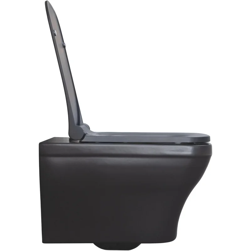 Чаша подвесного унитаза Allen Brau Infinity 4.21011.31 черный матовый