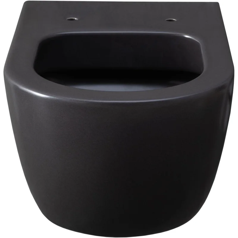 Чаша подвесного унитаза Allen Brau Priority 4.31001.AN антрацит