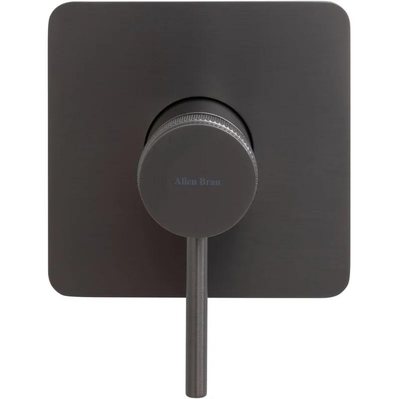 Смеситель для душа Allen Brau Priority 5.31012-MG (с внутренней частью, 1 выход) графит браш