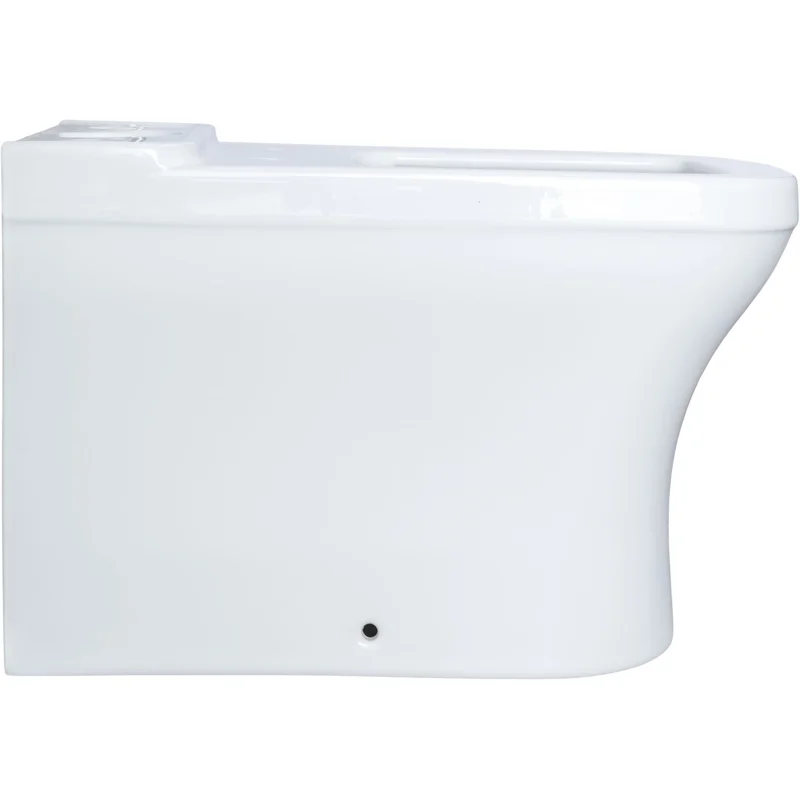 Чаша напольного унитаза Allen Brau Infinity 4.21012.20 белый глянец