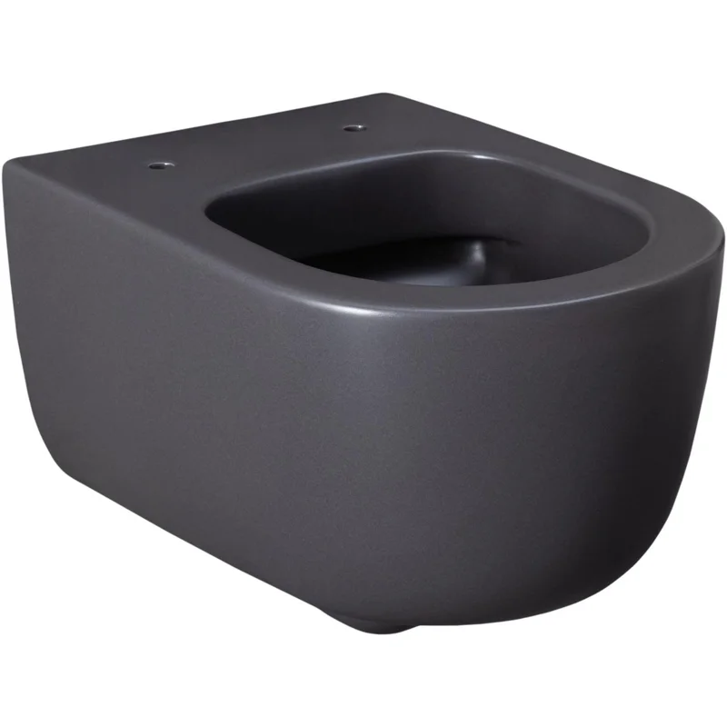 Чаша подвесного унитаза Allen Brau Priority 4.31002.AN антрацит