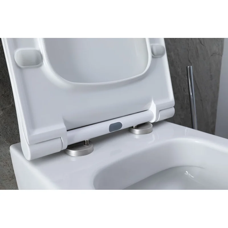 Унитаз с инсталляцией Allen Brau Priority 00301296/8.9466.0.000.000.1 белый глянец