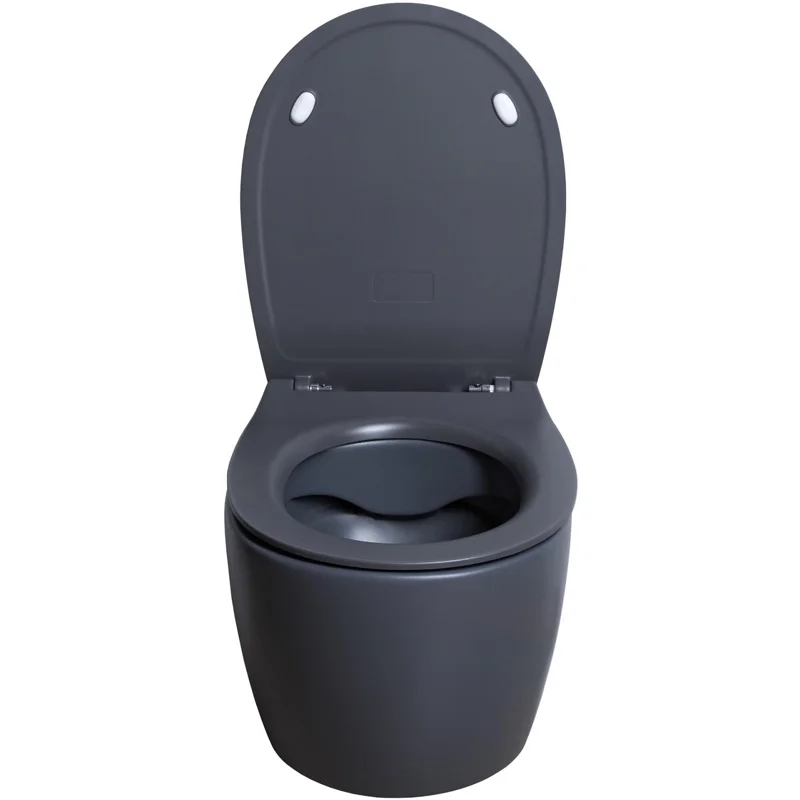 Чаша подвесного унитаза Allen Brau Fantasy 4.11004.AN антрацит