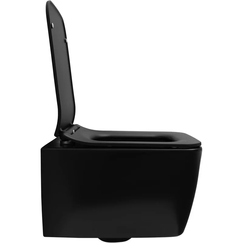 Чаша подвесного унитаза Allen Brau Liberty 4.33007.31 черный матовый