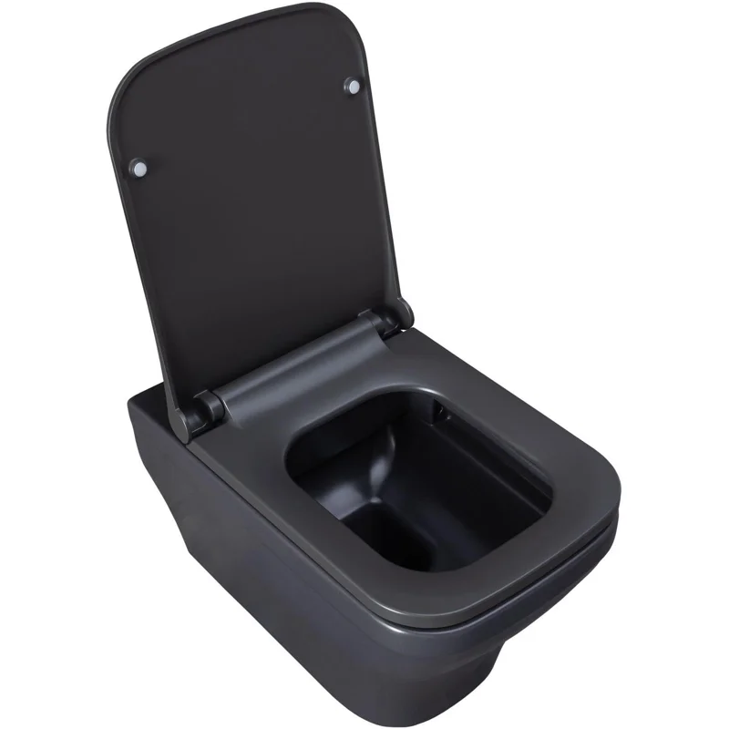 Чаша подвесного унитаза Allen Brau Infinity 4.21011.AN антрацит