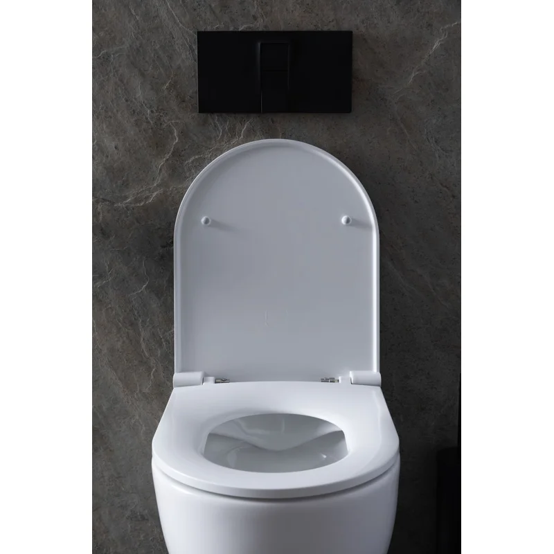 Унитаз с инсталляцией Allen Brau Reality 4.32006.20/8.9466.0.000.000.1 белый глянец