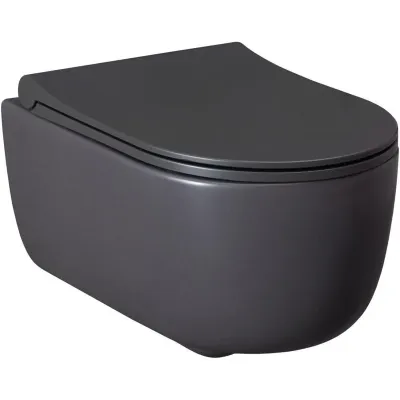 Чаша подвесного унитаза Allen Brau Priority 4.31002....