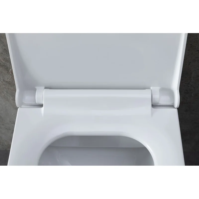 Унитаз с инсталляцией Allen Brau Infinity 4.21011.20/8.9466.0.000.000.1 белый глянец