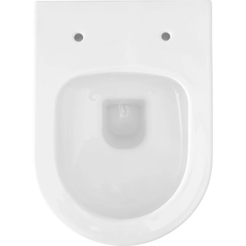 Чаша подвесного унитаза Allen Brau Priority 4.31002.20 белый глянец