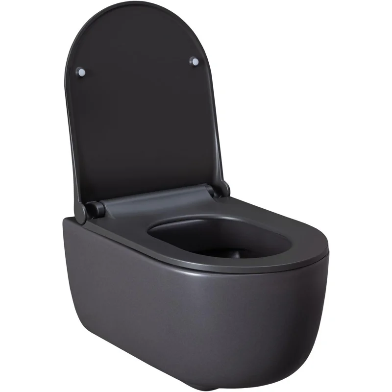 Чаша подвесного унитаза Allen Brau Priority 4.31002.AN антрацит