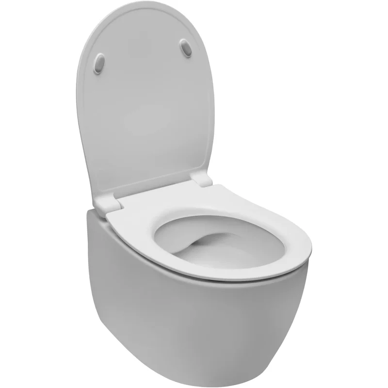 Чаша подвесного унитаза Allen Brau Fantasy 4.11004.21 белый матовый