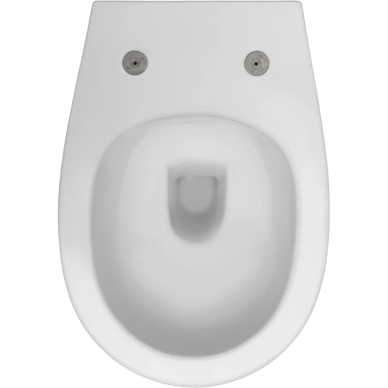 Чаша подвесного унитаза Allen Brau Fantasy 4.11004.21 белый матовый