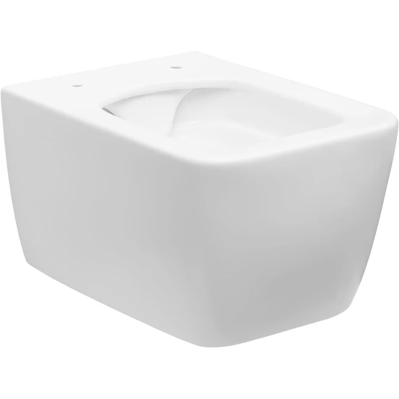 Чаша подвесного унитаза Allen Brau Liberty 4.33007.21 белый матовый