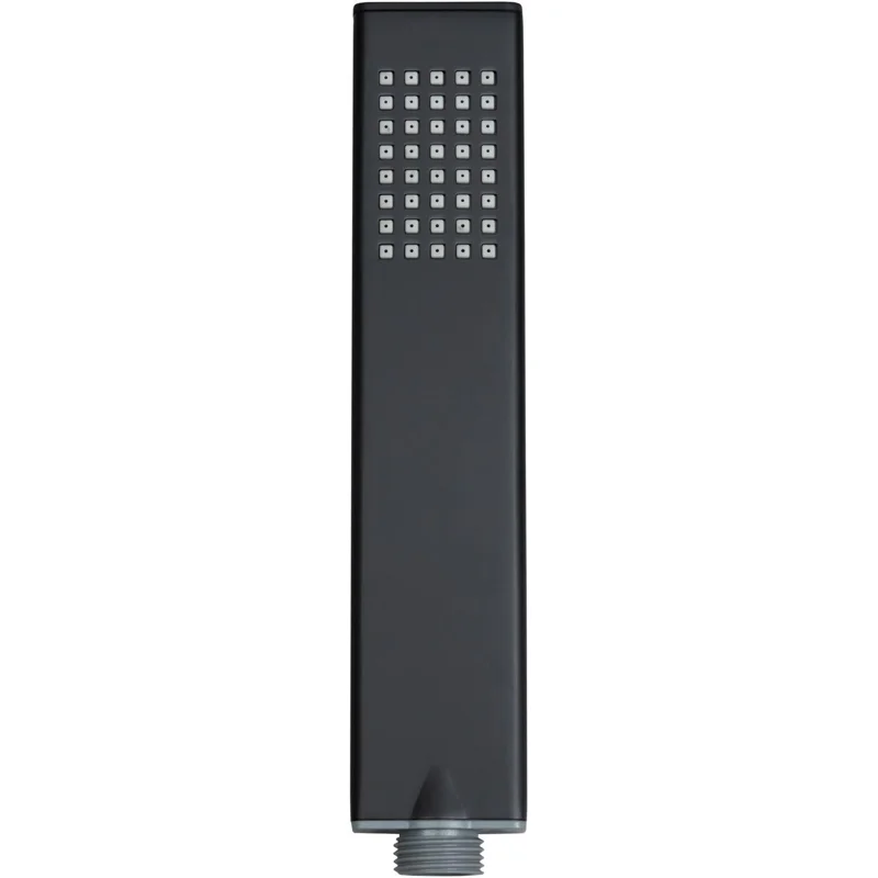 Душевая лейка Allen Brau Infinity 5.21022-31 черный матовый