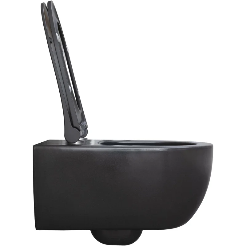 Чаша подвесного унитаза Allen Brau Priority 4.31001.AN антрацит