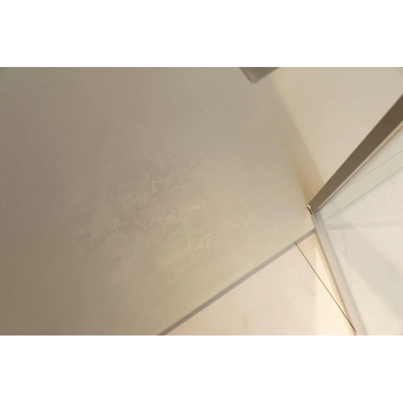 Душевая дверь Allen Brau Priority 120 3.31008.BA серебро браш