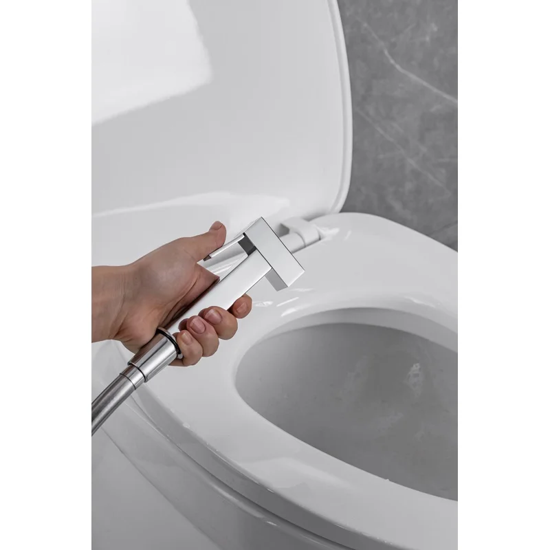 Смеситель с гигиеническим душем Allen Brau Infinity 5.21005-00 (с внутренней частью) хром