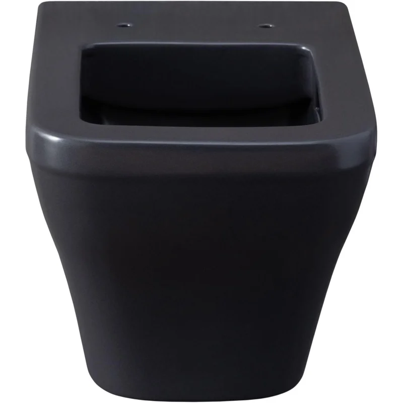 Чаша подвесного унитаза Allen Brau Infinity 4.21011.AN антрацит