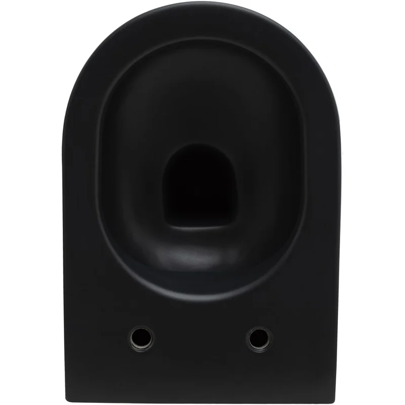 Чаша подвесного унитаза Allen Brau Reality 4.32006.31 черный матовый