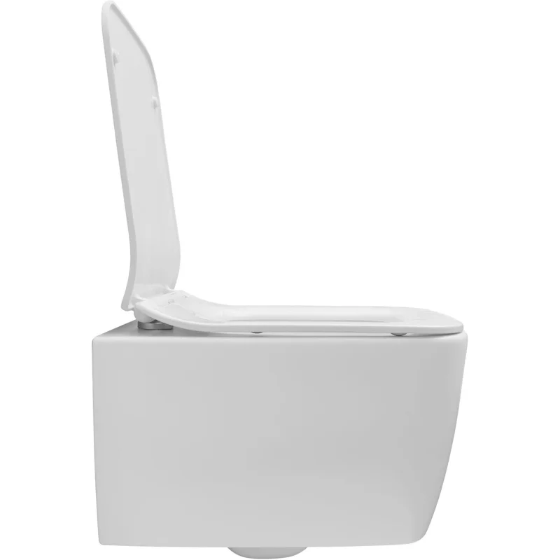 Чаша подвесного унитаза Allen Brau Liberty 4.33007.21 белый матовый