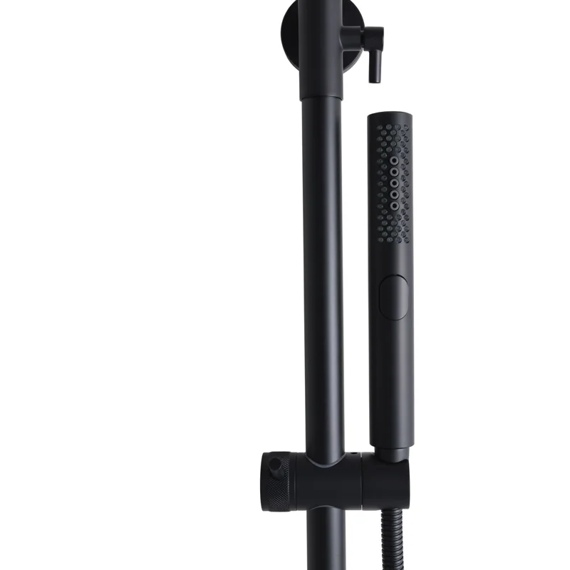 Душевая стойка Allen Brau Fantasy 5.11001-31 черный матовый