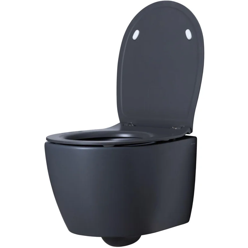 Чаша подвесного унитаза Allen Brau Fantasy 4.11004.AN антрацит