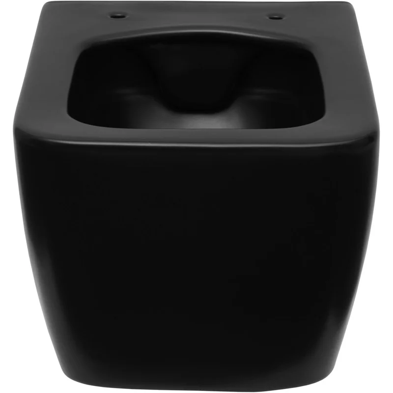 Чаша подвесного унитаза Allen Brau Liberty 4.33007.31 черный матовый