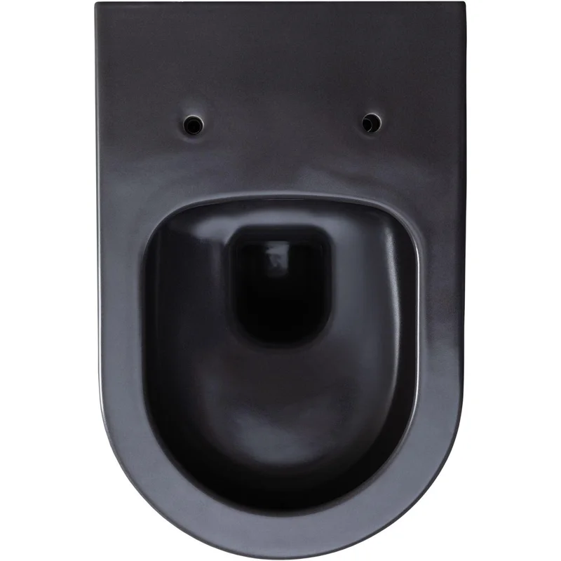 Чаша подвесного унитаза Allen Brau Priority 4.31001.AN антрацит