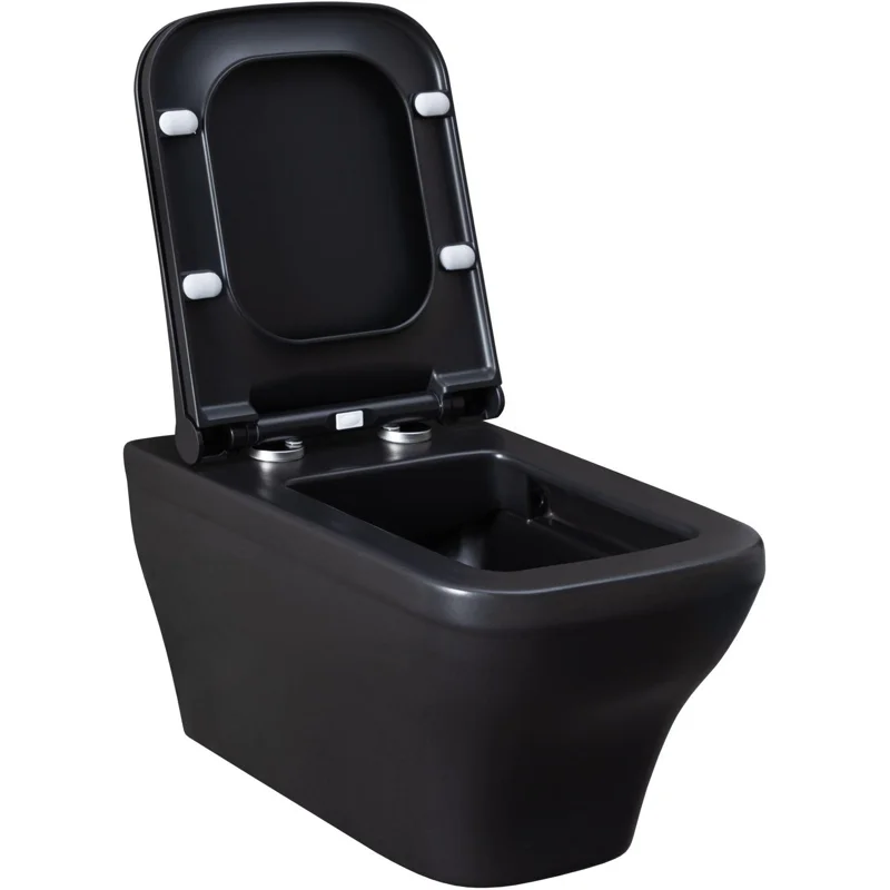 Чаша подвесного унитаза Allen Brau Infinity 4.21011.31 черный матовый