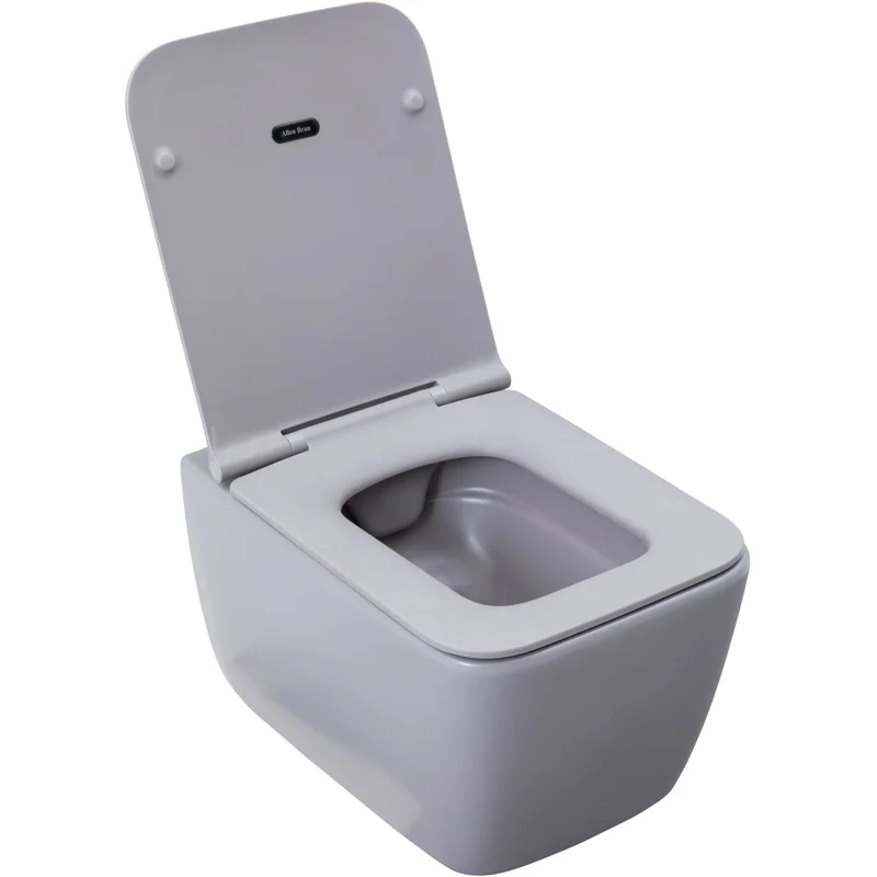 Чаша подвесного унитаза Allen Brau Liberty 4.33007.AN антрацит