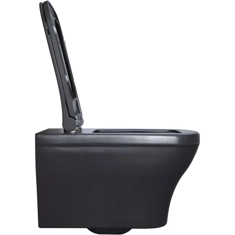 Чаша подвесного унитаза Allen Brau Infinity 4.21011.AN антрацит