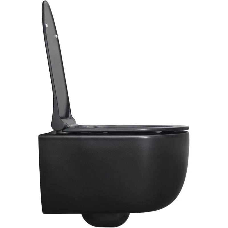 Чаша подвесного унитаза Allen Brau Priority 4.31002.31 черный матовый