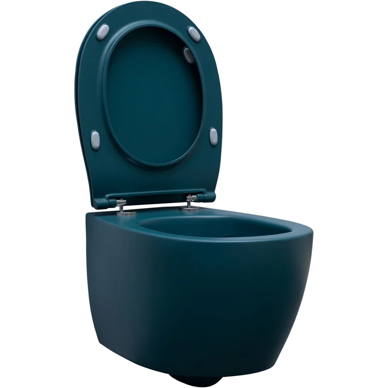 Чаша подвесного унитаза Allen Brau Fantasy 4.11004.PT петроль