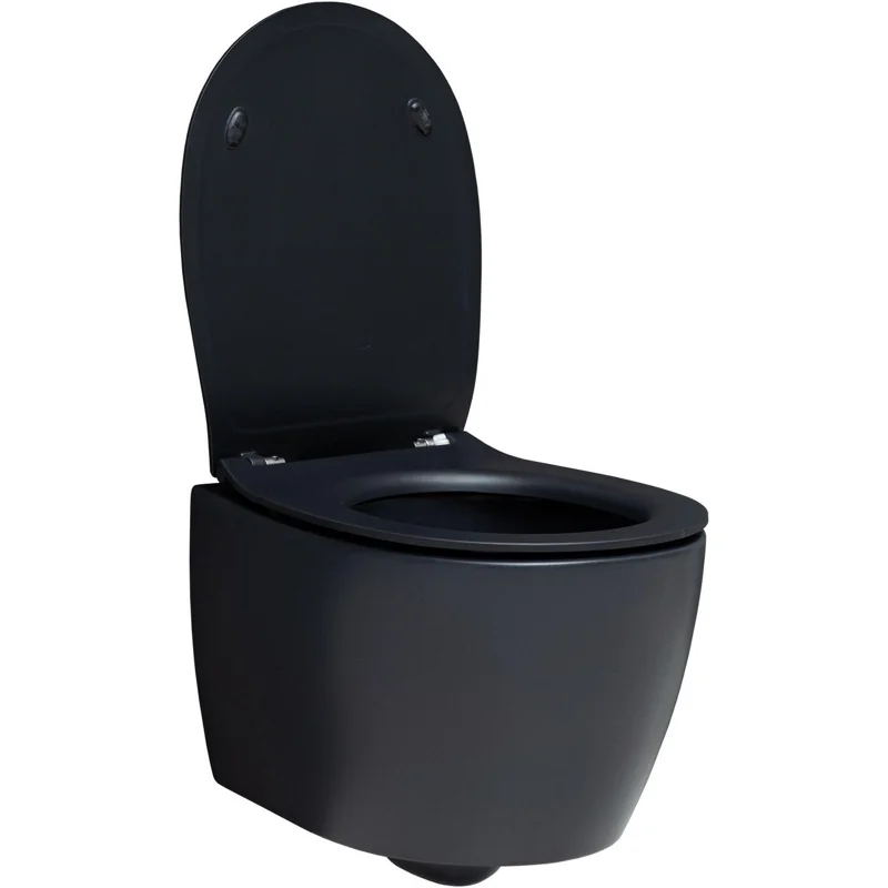 Чаша подвесного унитаза Allen Brau Fantasy 4.11004.31 черный матовый