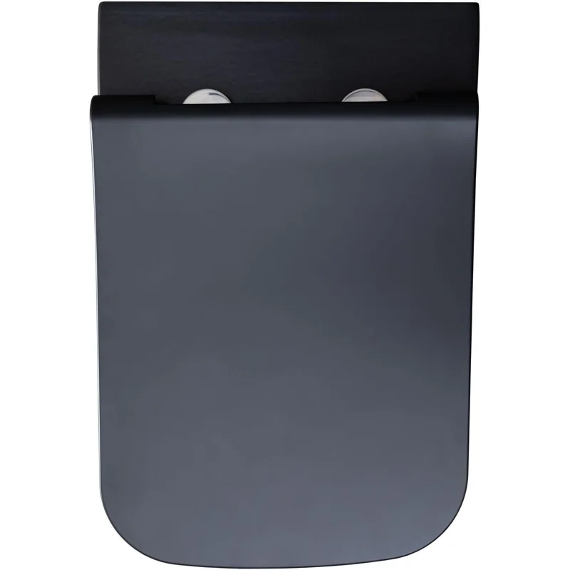 Чаша подвесного унитаза Allen Brau Infinity 4.21011.31 черный матовый