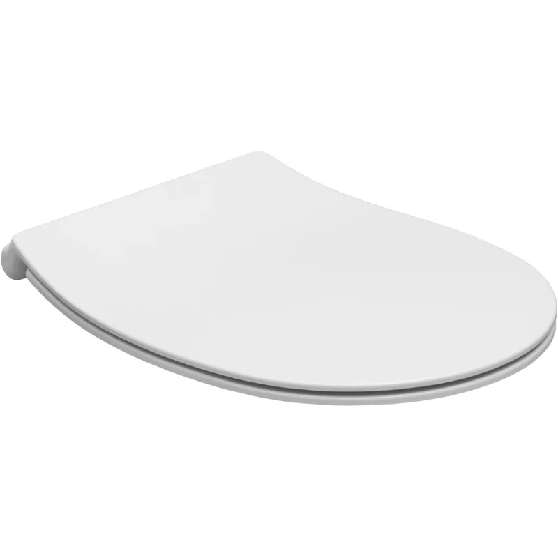 Чаша подвесного унитаза Allen Brau Fantasy 4.11004.21 белый матовый