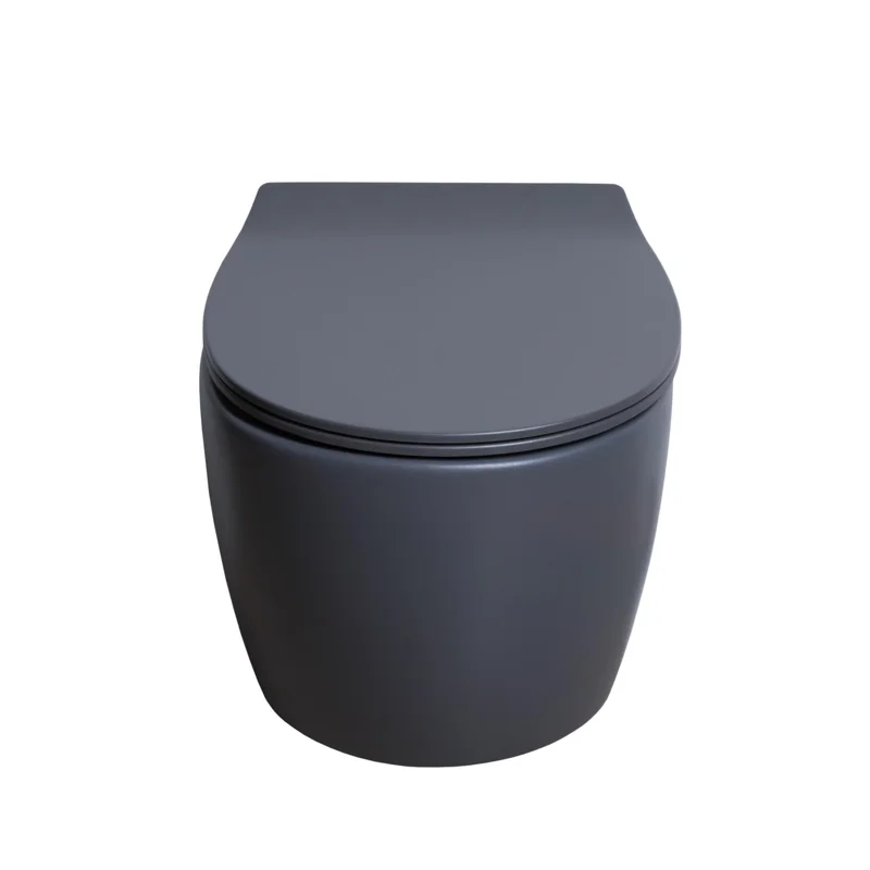 Крышка-сиденье для унитаза Allen Brau Fantasy Smartfix, Soft-Close 4.11005.AN антрацит