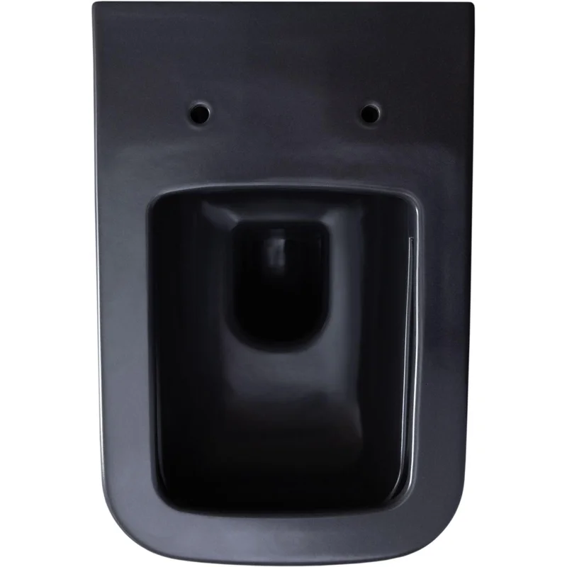 Чаша подвесного унитаза Allen Brau Infinity 4.21011.AN антрацит