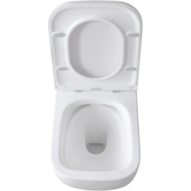 Чаша подвесного унитаза Allen Brau Infinity 4.21004.20 белый глянец