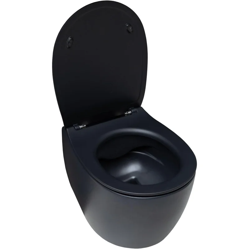 Чаша подвесного унитаза Allen Brau Fantasy 4.11004.31 черный матовый
