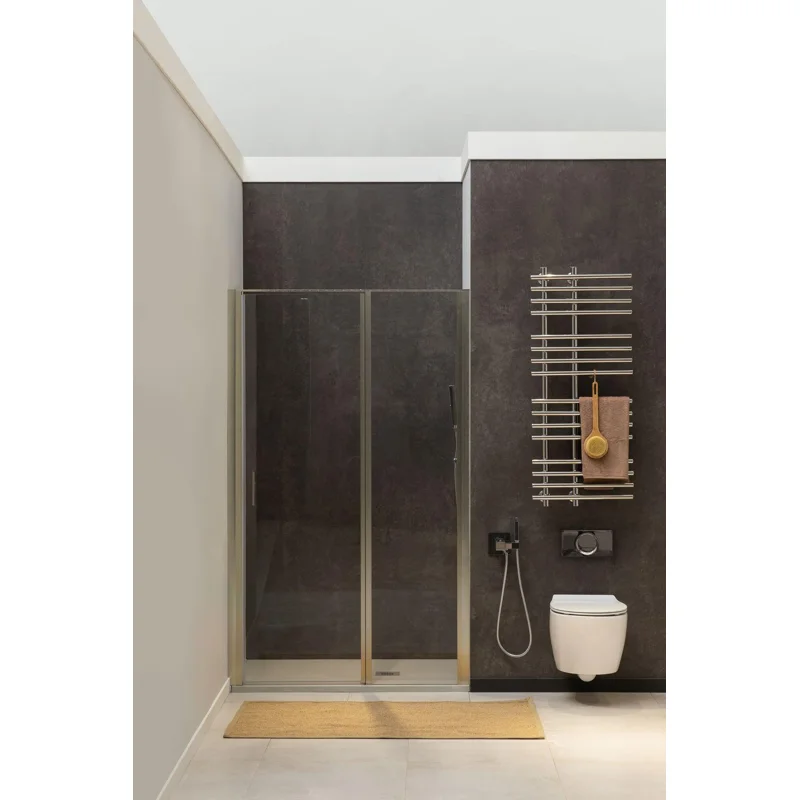 Душевая дверь Allen Brau Priority 120 3.31008.BA серебро браш