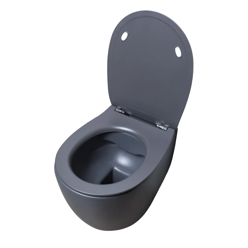 Крышка-сиденье для унитаза Allen Brau Fantasy Smartfix, Soft-Close 4.11005.AN антрацит